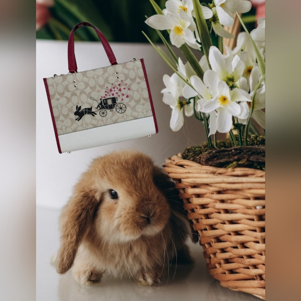 Nwt Coach Lunar Year Dempsey Tote 22  Canvas Rabbit and Carriage